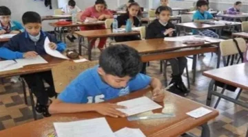 موعد امتحانات نوفمبر لصفوف النقل 2025: التوقيت الرسمي والخطوات التحضيرية المطلوبة